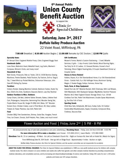 thumbnail of Union County Auction_Sale Bill_2017[3]