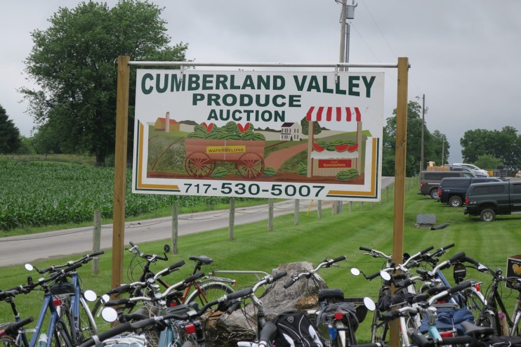 Shippensburg Benefit Auction Clinic for Special Children