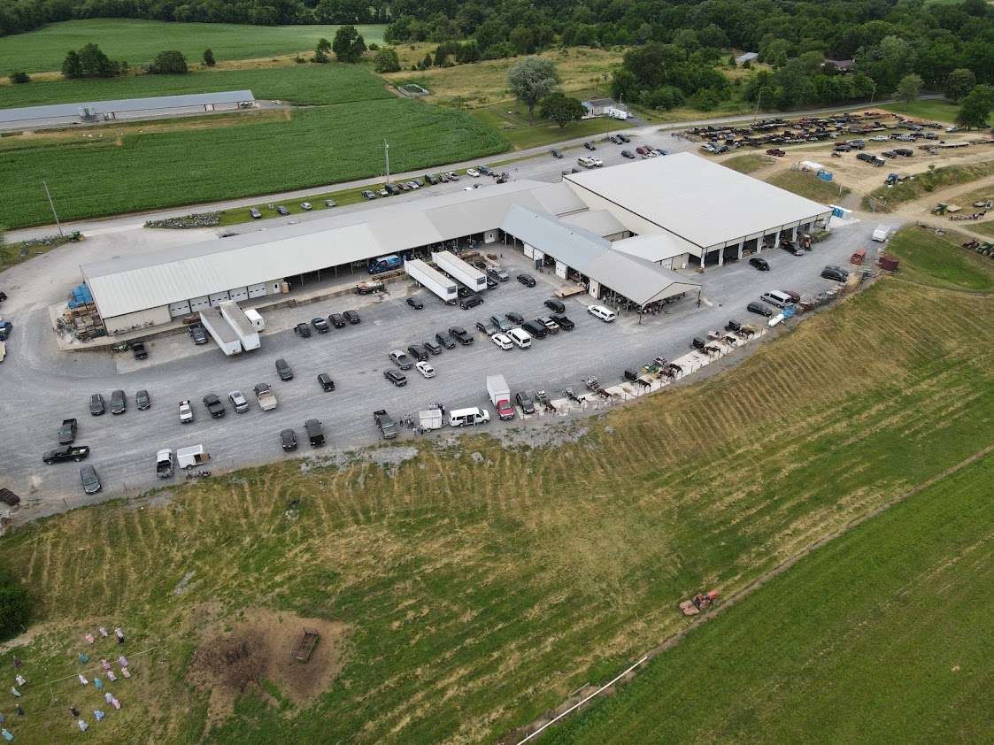 Shippensburg Benefit Auction Clinic for Special Children